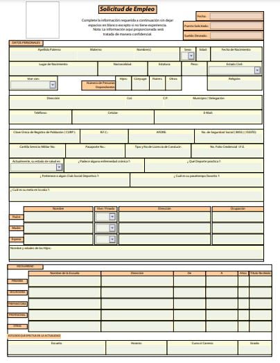 Solicitud de empleo elaborada